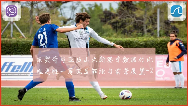 东契奇与亚历山大新赛季数据对比谁更胜一筹深度解读与前景展望