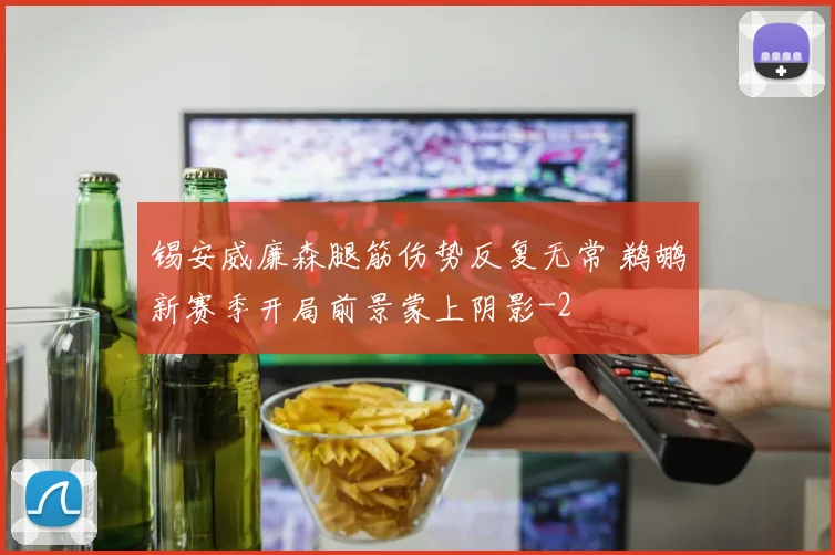 锡安威廉森腿筋伤势反复无常 鹈鹕新赛季开局前景蒙上阴影